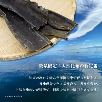 【北海道知床斜里産】知床昆布(80g×2袋)大自然が育てた、香り豊かな天然昆布です。