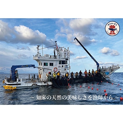 北海道知床斜里産　船上活〆　ほっけスティック、さくらますスティック(各200g×2)
