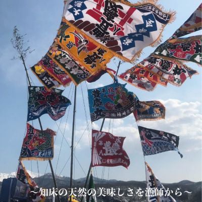 北海道知床斜里産　船上活〆　ほっけスティック、さくらますスティック(各200g×2)