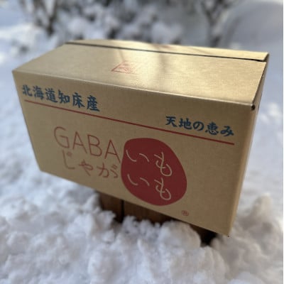 北海道しれとこ越冬熟成じゃがいも はるか 4.5kg　
