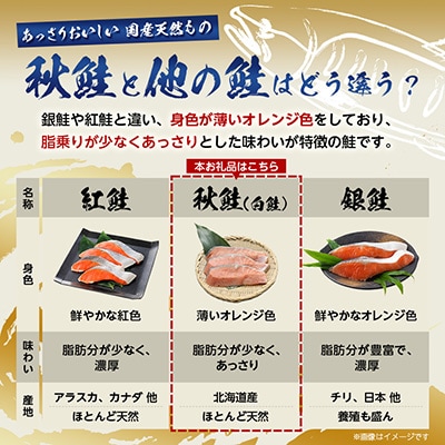 【訳あり】北海道斜里町産　無塩天然秋鮭切身 3kg【無添加】