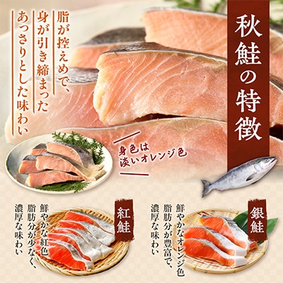 【訳あり】北海道斜里町産　無塩天然秋鮭切身 3kg【無添加】