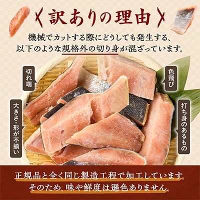 【訳あり】北海道斜里町産　無塩天然秋鮭切身 3kg【無添加】