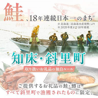 【訳あり】北海道斜里町産　無塩天然秋鮭切身 3kg【無添加】