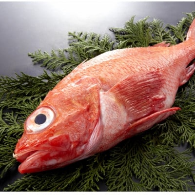 【姿煮用・冷凍】 北海道産　キンキ(めんめ)1尾　300g前後 下処理済み 北海道斜里町産