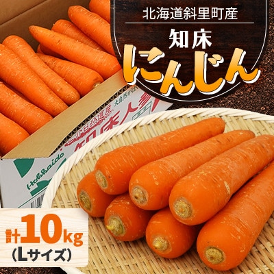 【訳あり】北海道斜里町　知床にんじん 10kg(Lサイズ)