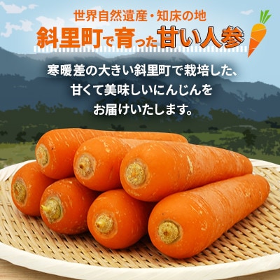 【訳あり】北海道斜里町　知床にんじん 10kg(Lサイズ)