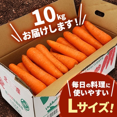【訳あり】北海道斜里町　知床にんじん 10kg(Lサイズ)