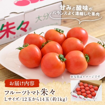 フルーツトマト 朱朱 Lサイズ (計1kg・12-14玉)