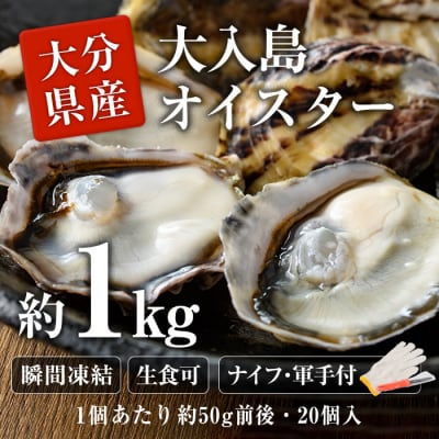 大入島 バージン オイスター 牡蠣 約1kg (1個約50g前後・20個入)生食可 冷凍