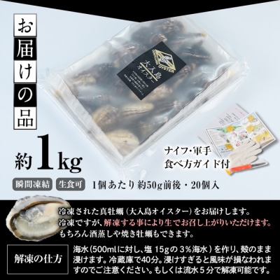 大入島 バージン オイスター 牡蠣 約1kg (1個約50g前後・20個入)生食可 冷凍