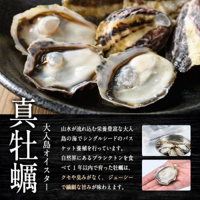 大入島 バージン オイスター 牡蠣 約1kg (1個約50g前後・20個入)生食可 冷凍