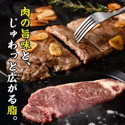 おおいた 和牛 サーロイン ステーキ 百年の恵み (計360g・180g×2枚) 