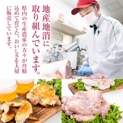  大分県産 若鶏 モモ肉 手羽先 セット (合計3kg・2種)