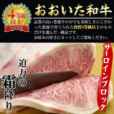 おおいた 和牛 サーロイン ブロック 百年の恵み (1kg)  