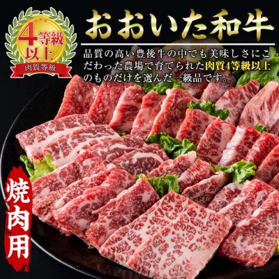 おおいた 和牛 3種 セット 百年の恵み (合計1.66kg)