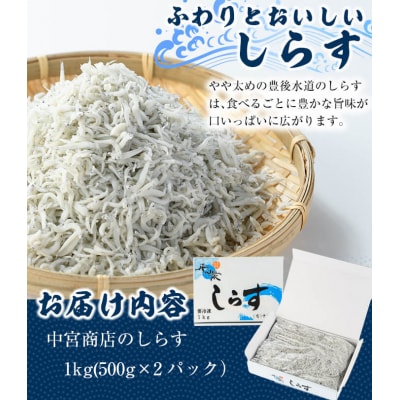 豊後水道 米水津産 しらす (計1kg・500g×2P) 