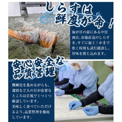 豊後水道 米水津産 しらす (計1kg・500g×2P) 