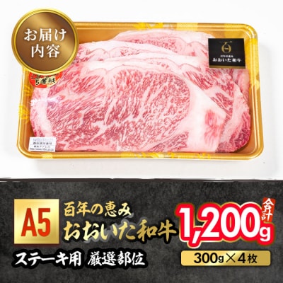 百年の恵み おおいた和牛 A5 ステーキ用 厚切り 厳選部位 (計1.2kg・300g×4枚)  