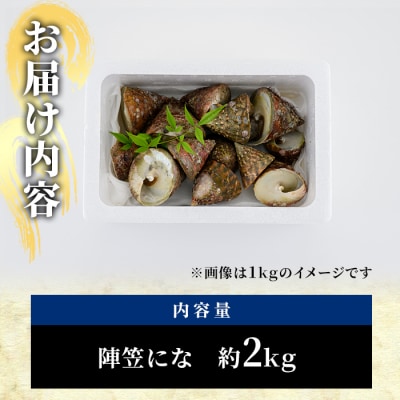 陣笠にな(約2kg)