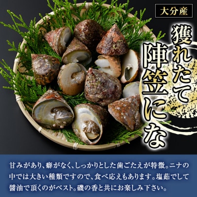 陣笠にな(約2kg)