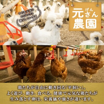 元さん農園 平飼い鶏のたまごセット (合計20個・烏骨鶏たまご10個・赤鶏たまご10個)