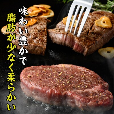 おおいた 和牛 ヒレブロック (約1kg)