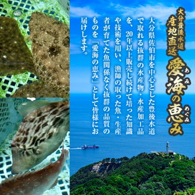 天然 真鯛 (約1.8-2kg・1枚)