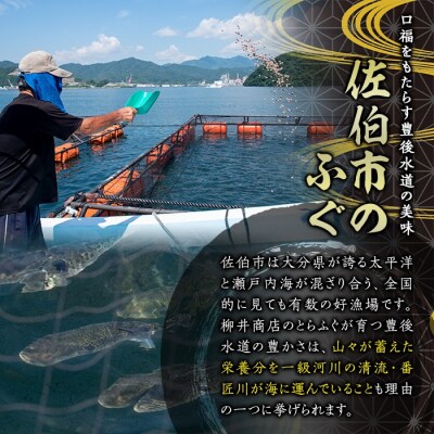 ふぐ出汁 かぼす ポン酢 (計10本・1本80ml)