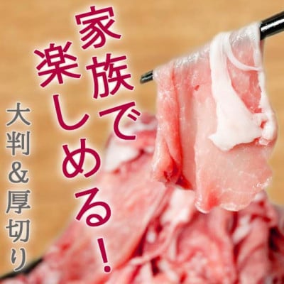 【沖縄県ブランド豚】 キビまる豚 切り落とし 4kgセット