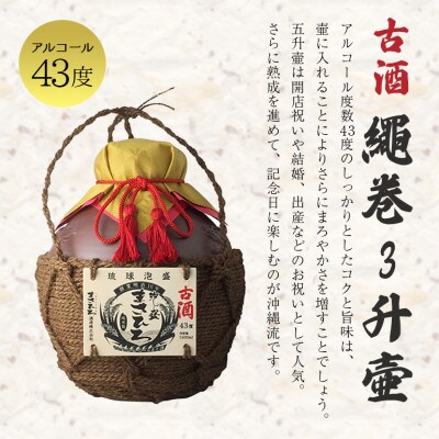 泡盛古酒繩巻3升壺