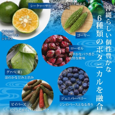 沖縄のクラフトジン「まさひろオキナワジン　レシピ01」