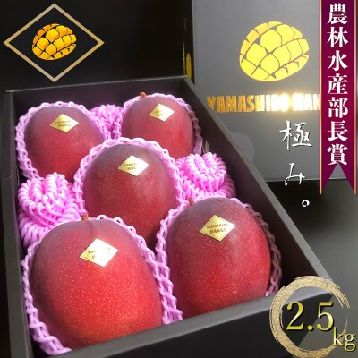 【2023年発送】沖縄県農林水産部長賞受賞 山城マンゴー屋の沖縄県産マンゴー『極み。』2.5kg