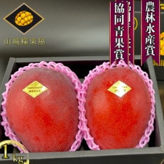 【2024年発送】受賞多数!!山城マンゴー屋の沖縄県産マンゴー1kg | ふるさと納税のお礼品