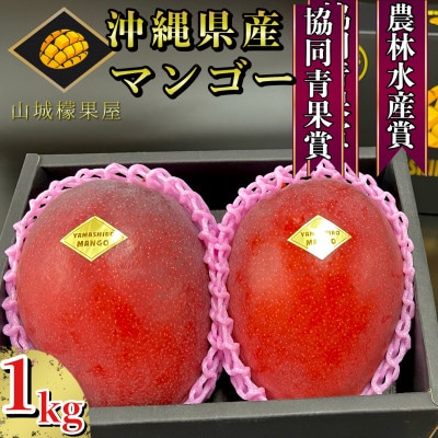 【2025年発送】受賞多数!!山城マンゴー屋の沖縄県産マンゴー1kg