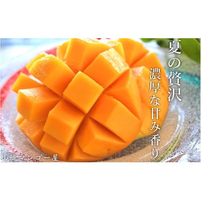 【2025年発送】受賞多数!!山城マンゴー屋の沖縄県産マンゴー1kg