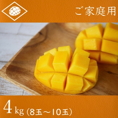 【2022年発送】沖縄県産マンゴー家庭用4kg   山城マンゴー屋