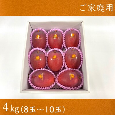 【2022年発送】沖縄県産マンゴー家庭用4kg   山城マンゴー屋