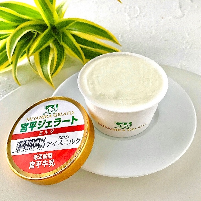 宮平ジェラート8個入(ミルク×2、ダークチョコ×2、紅芋×2、黒糖×2)