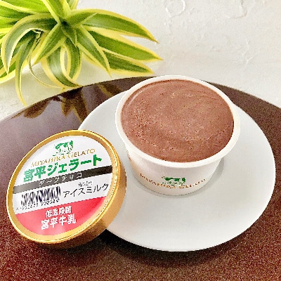 宮平ジェラート8個入(ミルク×2、ダークチョコ×2、紅芋×2、黒糖×2)