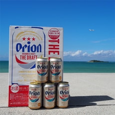 【毎月定期便】オリオンビール　ザ・ドラフト(350ml×24缶)全6回