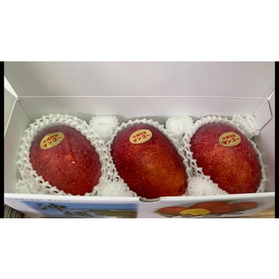 マンゴー贈答品約1kg 化粧箱入 お礼品詳細 ふるさと納税なら さとふる