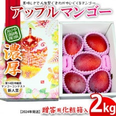【2024年発送】沖縄県糸満産　ゆいぐくるマンゴーの「濃厚アップルマンゴー」2kg　(化粧箱入) | ふるさと納税のお礼品