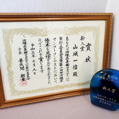 【2025年発送】沖縄県糸満産　ゆいぐくるマンゴーの「濃厚アップルマンゴー」1kg