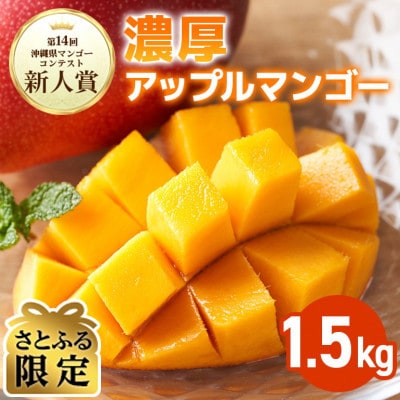 【さとふる限定】【2025年発送】沖縄県糸満産の「濃厚アップルマンゴー」1.5kg | ふるさと納税のお礼品