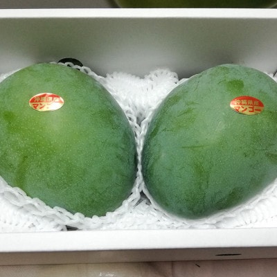 【2025年発送】沖縄から直送!かしみ園の「濃厚キーツマンゴー」2kg