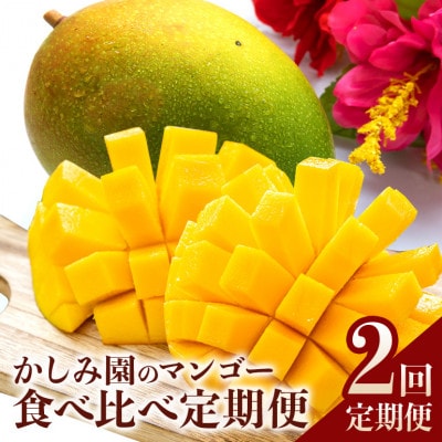 【発送月固定定期便】マンゴー 食べ比べ 2種 アップルマンゴー キーツマンゴー全2回