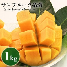 【2024年発送】沖縄県知事賞4度受賞　サンフルーツ糸満のマンゴー1kg | ふるさと納税のお礼品