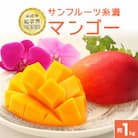 【2026年発送】沖縄県知事賞4度受賞　サンフルーツ糸満のマンゴー1kg