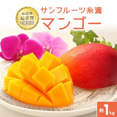 【2025年発送】沖縄県知事賞4度受賞　サンフルーツ糸満のマンゴー1kg